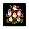 Spin Birds icon