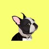 Dog whistle & training app icon