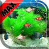 Aquarium Max Wallpaper Hidup icon