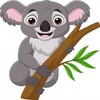 Catch the koalas icon