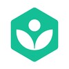 Biểu tượng Khan Academy