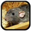 Mouse and Rat Sound icon