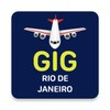 FlightInfo Rio De Janeiro आइकन