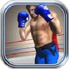 Steely Boxer icon