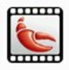 VideoLobster icon
