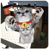 Cute cat simulator icon
