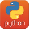 Икона Python Programming in a day