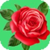 Icona di Rose Wallpapers