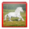 Horse Wallpapers icon