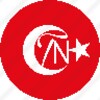 Turkish Now icon