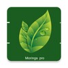 Moringa Pro icon