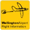 Pictogramă Wgtn Airport