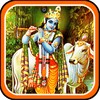 Lord Krishna Photos Wallpaper icon