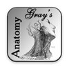 Icon von Grays Anatomy 2012 Lite