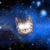 Cat Psychic - Yes or No icon