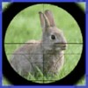 Icono de RABBIT HUNTER 3D