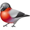 Bird Center icon