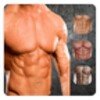 Fitness Men Body building icon