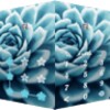 AppLock Theme Succulent icon