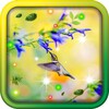 Colibri Spring 3D LWP icon