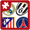 Logo Puzzle Football icon