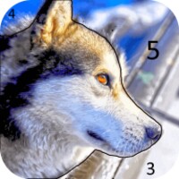 Magic Color para Android - Descarga el APK en Uptodown