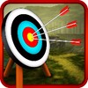 Archery Shooter 3d icon