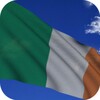 Ireland Flag icon