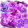 Purple rose live wallpaper icon