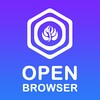 Open Browser icon