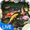 Koi Fish Live Wallpaper icon