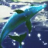 Dolphin Moonlight Trial icon