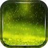 Rain Live Wallpaper icon