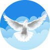 Open Heavens Devotional icon