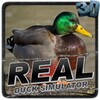 Real Duck Simulator आइकन