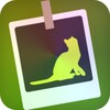 Cat Pictures icon