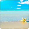 Beach Wallpapers icon