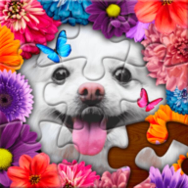 ColorPlanet for Android - Download the APK from Uptodown
