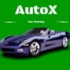 AutoX Car Racing icon