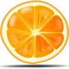 Icon von Oranges — разработка сайтов