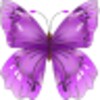 Butterfly Flower for DoodleTex icon