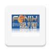 Icono de Fenix 95.7 FM