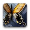 Twirly Wings icon