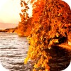Autumn 3D Video LWP icon