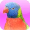 Animal Sounds with Photos icon