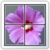 Icon von Photo(Number) Puzzle