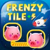 Frenzy Tile -Pair match icon