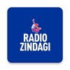 Radio Zindagi: Hindi Radio USAアイコン