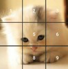 Cat puzzles Jigsaw, Slide 2048 icon