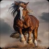 Horse Wallpapers icon